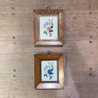 Floral Watercolor Pair from England c. 1840's