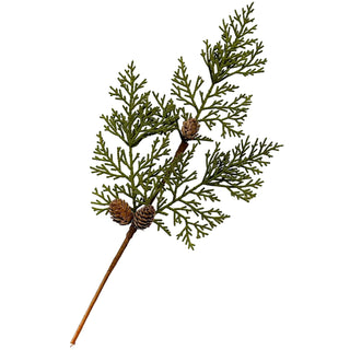 Foothill Cedar Stem