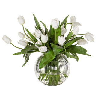 French Tulip in Glass Ball White Green