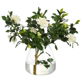 Gardenia Branch in Round Glass Vase Cream
