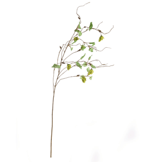 Hops Branch 39"