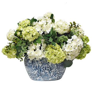 Hydrangea in Oval Planter