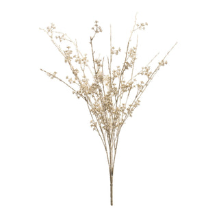Bouquet of dried flowers on a white background
