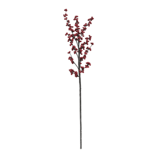 Ilex Berry Branch