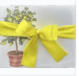 Lemon Tree Notepad
