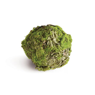 Mossy Lichen Orb