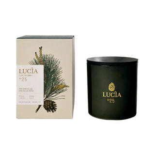 Pin Douglas Soy Candle 3 - wick