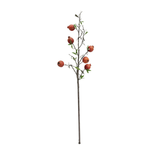 Pomegranate Branch