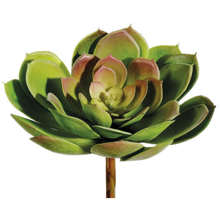 Real Touch Echeveria Pick