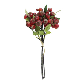 Red Rose Hip Bundle