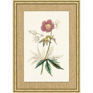 Revealing Color Botanical 26.75"x36.75"
