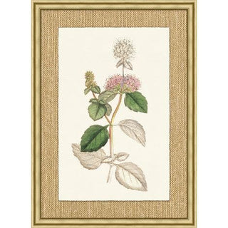Revealing Color Botanical 26.75"x36.75"