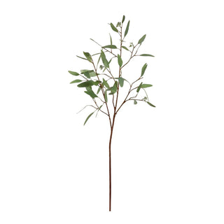 Seeded Long Eucalyptus Stem 43"