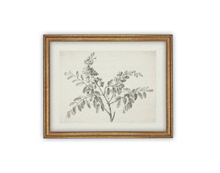 Home Accents Soft Branches