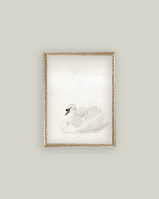 Swan Framed Antique Art: 12x16