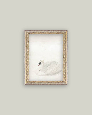 Swan Framed Antique Art: 12x16