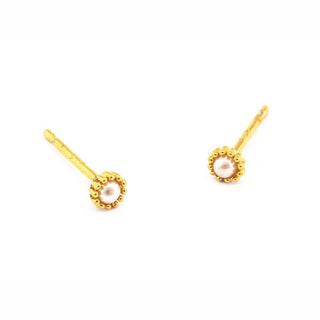 Mini Gold Trim Post Earrings