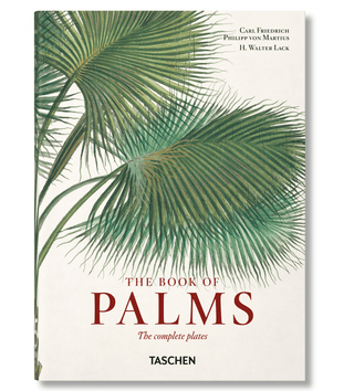 The Book of Palms