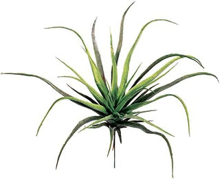 Tillandsia Spray 12.5"