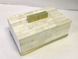 Home Accents Unique Bone Box with Brass Handle