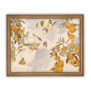 Home Accents Farmhouse Citrus Art