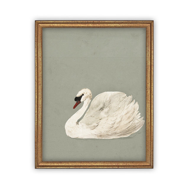 White Swan Vintage Art
