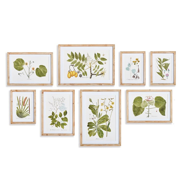 Luella Flora & Fauna Gallery Prints